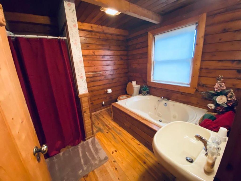 Cozy Cabin At Bear Mountain Log Cabins 尤里卡斯普林斯 外观 照片